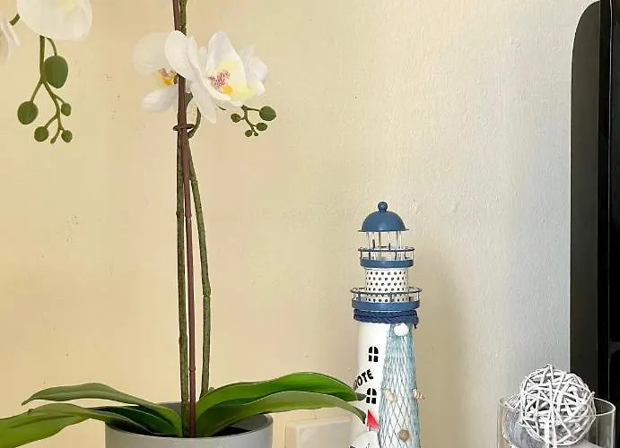 Two-bedroom With Two Large Terraces アパート